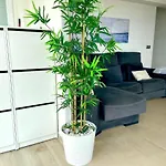 Apartamento San Gerardo By Solymar Holiday
