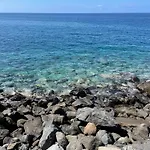 Pura Vida
