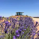 La Casa Del Desierto