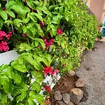 Blue Wave House Corralejo