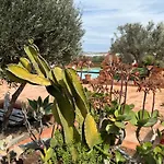 Olivares Rural