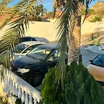 Kiwidestiny Alicante