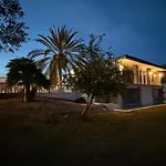 Kiwidestiny Alicante