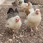 Fuerteventura Casa Tikuna