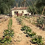 Villa Casa La Barraca