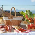 Trossos Del Priorat