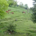 Casa Rural Alustiza