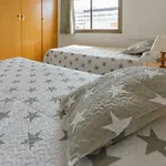 Sant Jordi Zeus Basic