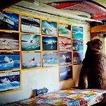 Surftolive House