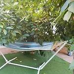 Villa Hispano-Brasilena-Fiestas No
