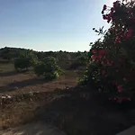 Sa Figuera