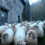 Casa Rural Orortegi