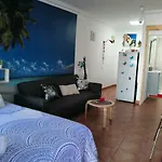 Ayla 2