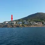 Estrella Del Mar