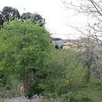 Cal General