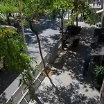 Plaza Goya Rooms