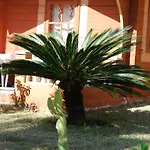 Soller Garden