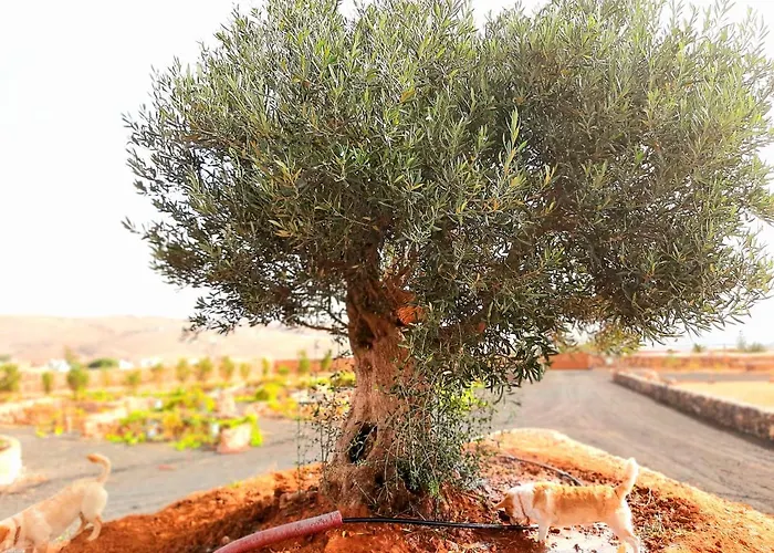 Agriturismo El Bounty