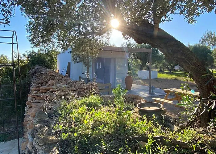 Alba Studio