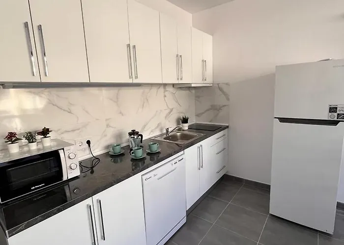 Moderno Y Reformado Estudio Palmeras