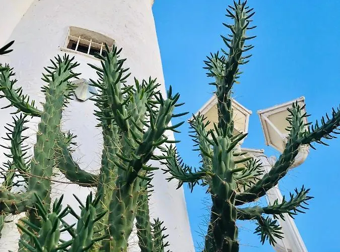 Villa Sa Torre