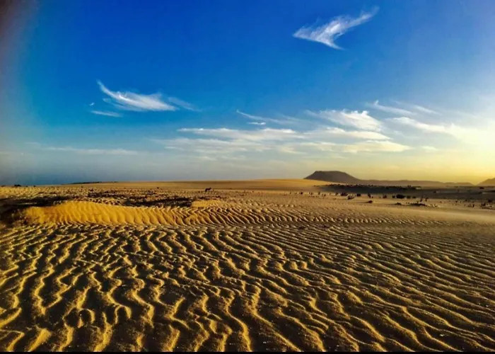 Desert Of Love