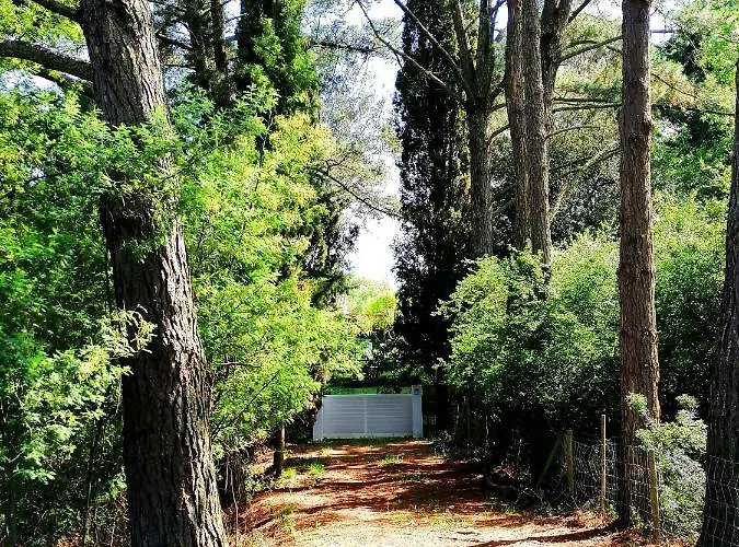 Costa Brava Home & Garden