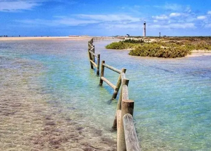 Estrella De Mar