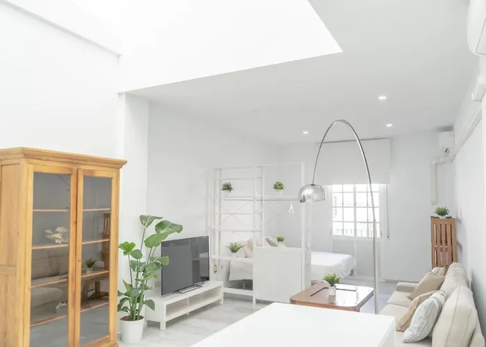 Loft Super Luminoso En El Centro Del Puerto De Santa Maria.