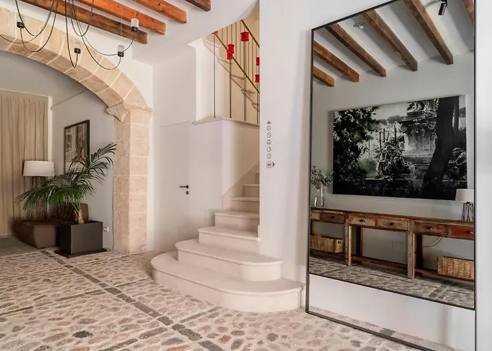 Can Veri Suites