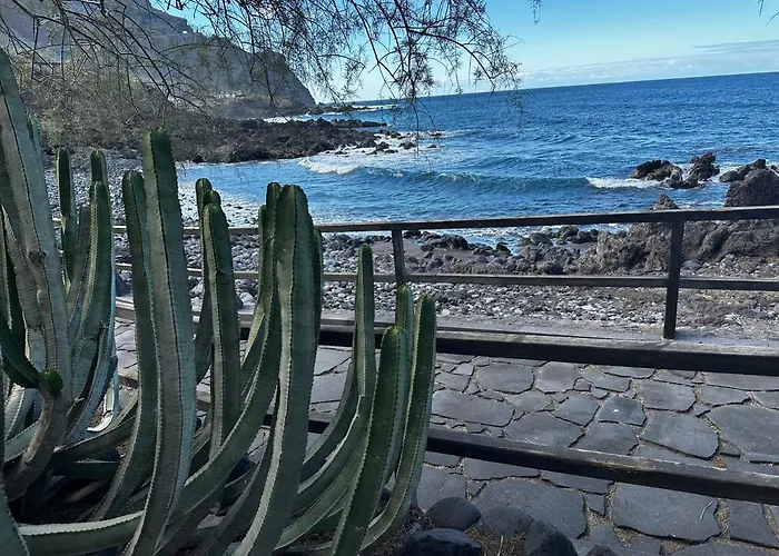 Maravilla En Buenavista