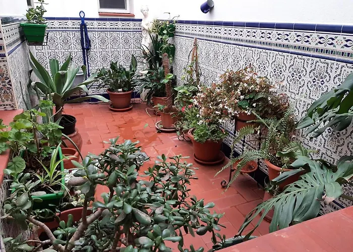 Sotel Valle Guadiaro
