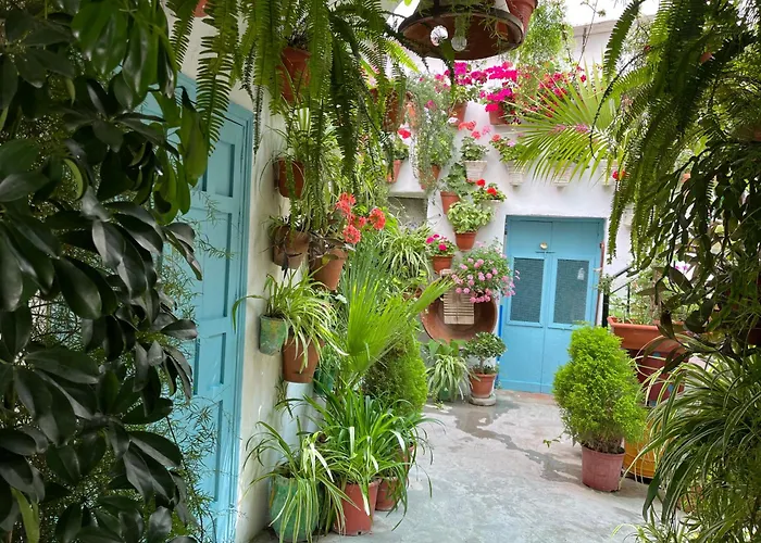 Apartamento la muralla