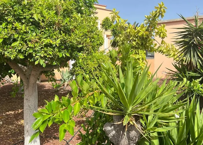 Ocean View Apartment In Orlando