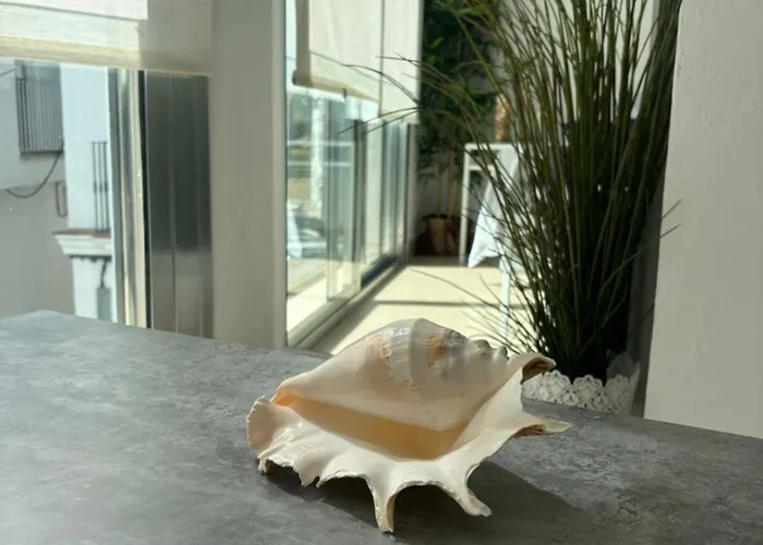 Turquesa 8