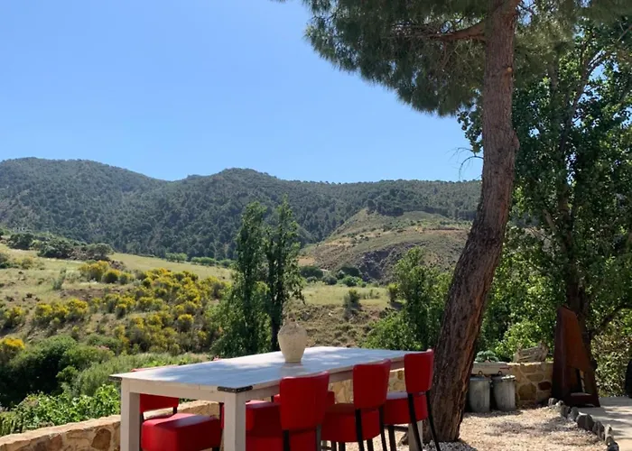 El Bufon De La Corte