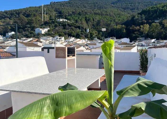El Mirador Del Asno