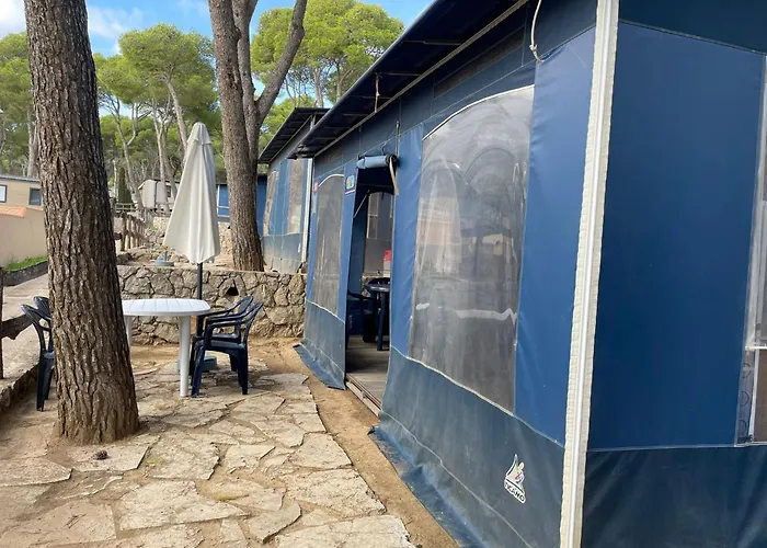Camping Castell Montgri ****