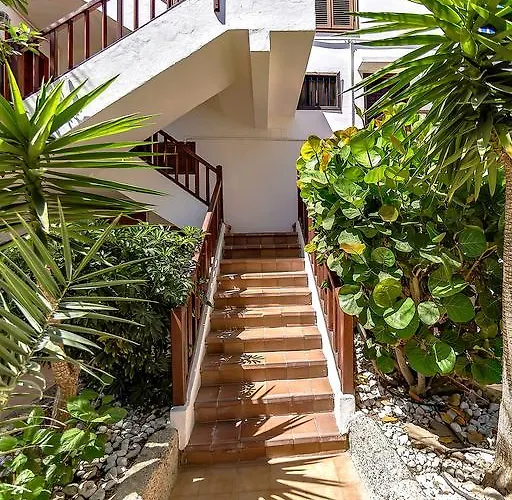 Apartment In Paraiso Royal