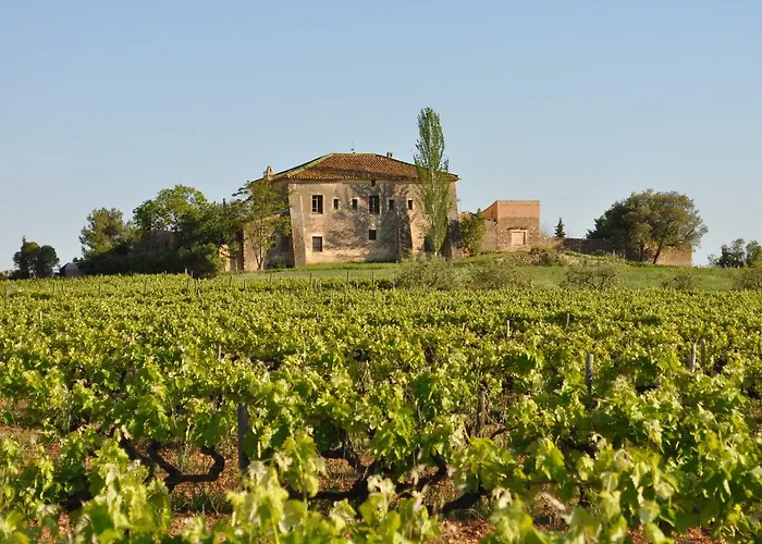 Mas Castell De Gimenelles
