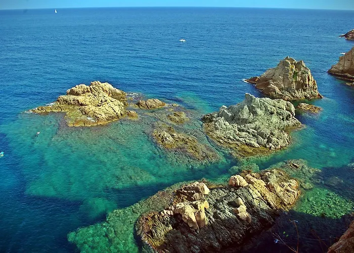 Lets Holidays Passeig Del Mar