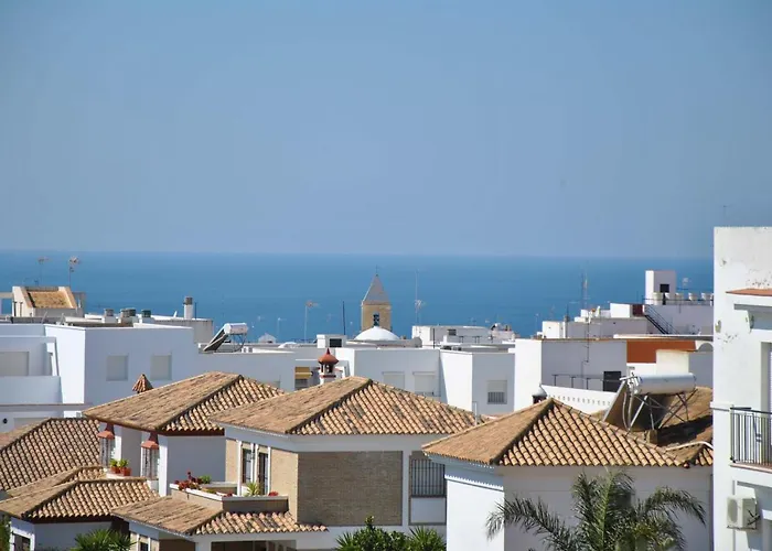 0505 Solymar
