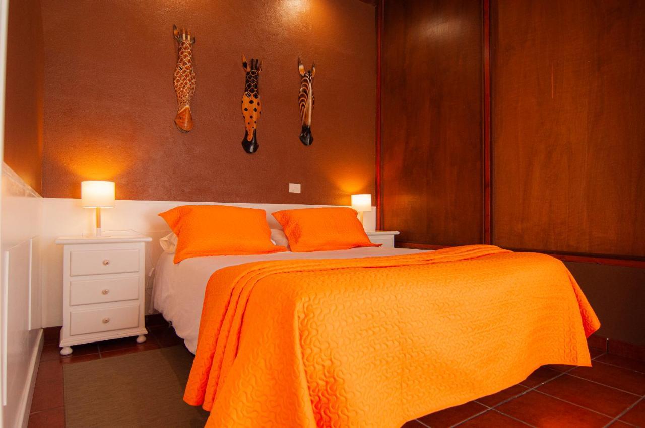 El Rincon Del Huroncillo Holiday home Tejina