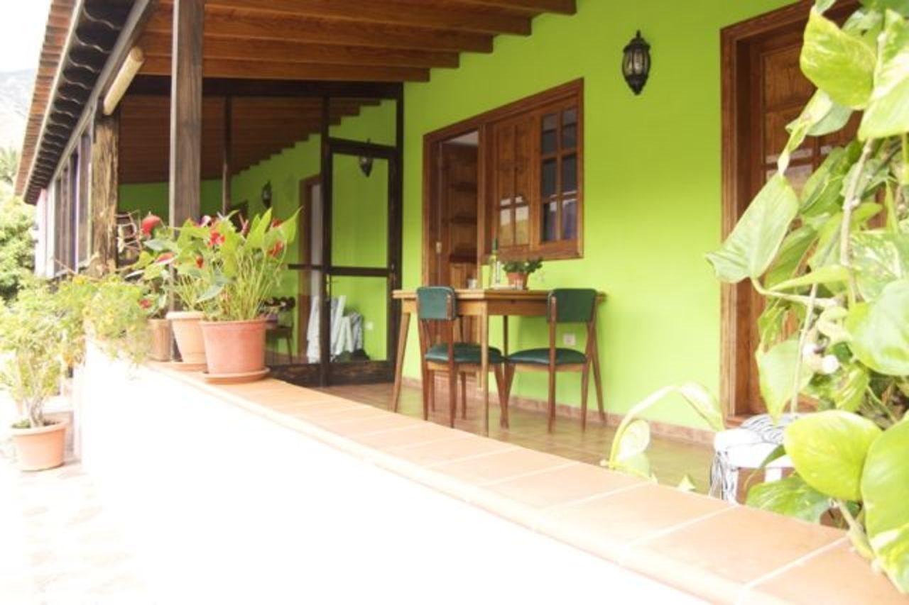Rincon Del Olivo * Lomito Fragoso y Honduras