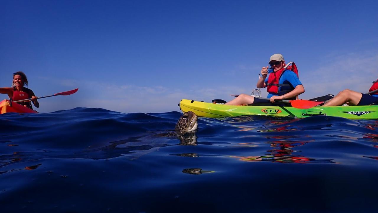 Hostal Adventure House Tenerife *