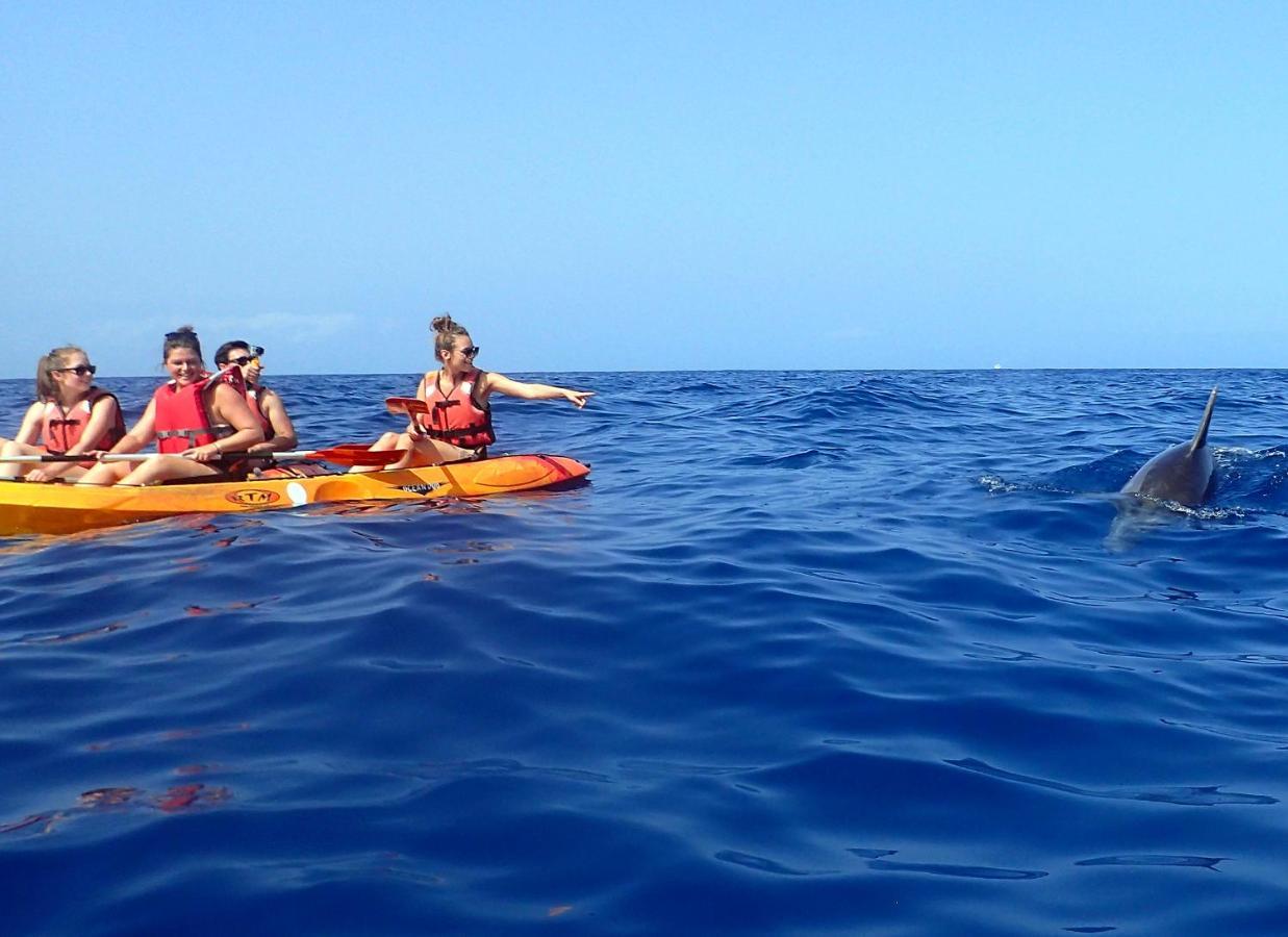Hostal Adventure House Tenerife Alcalá la Real