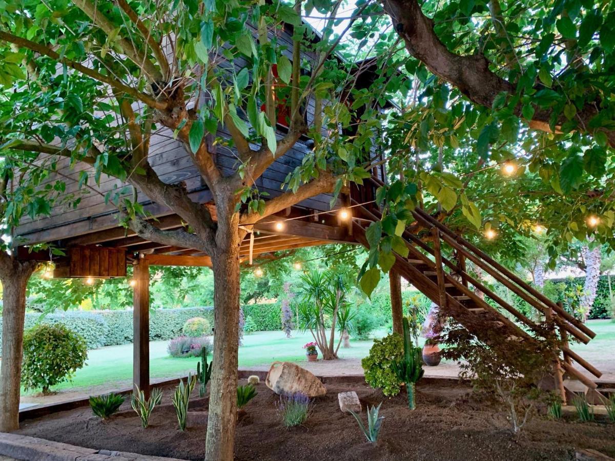Naturetreehouse Casa Sobre Los árboles Casa rural *