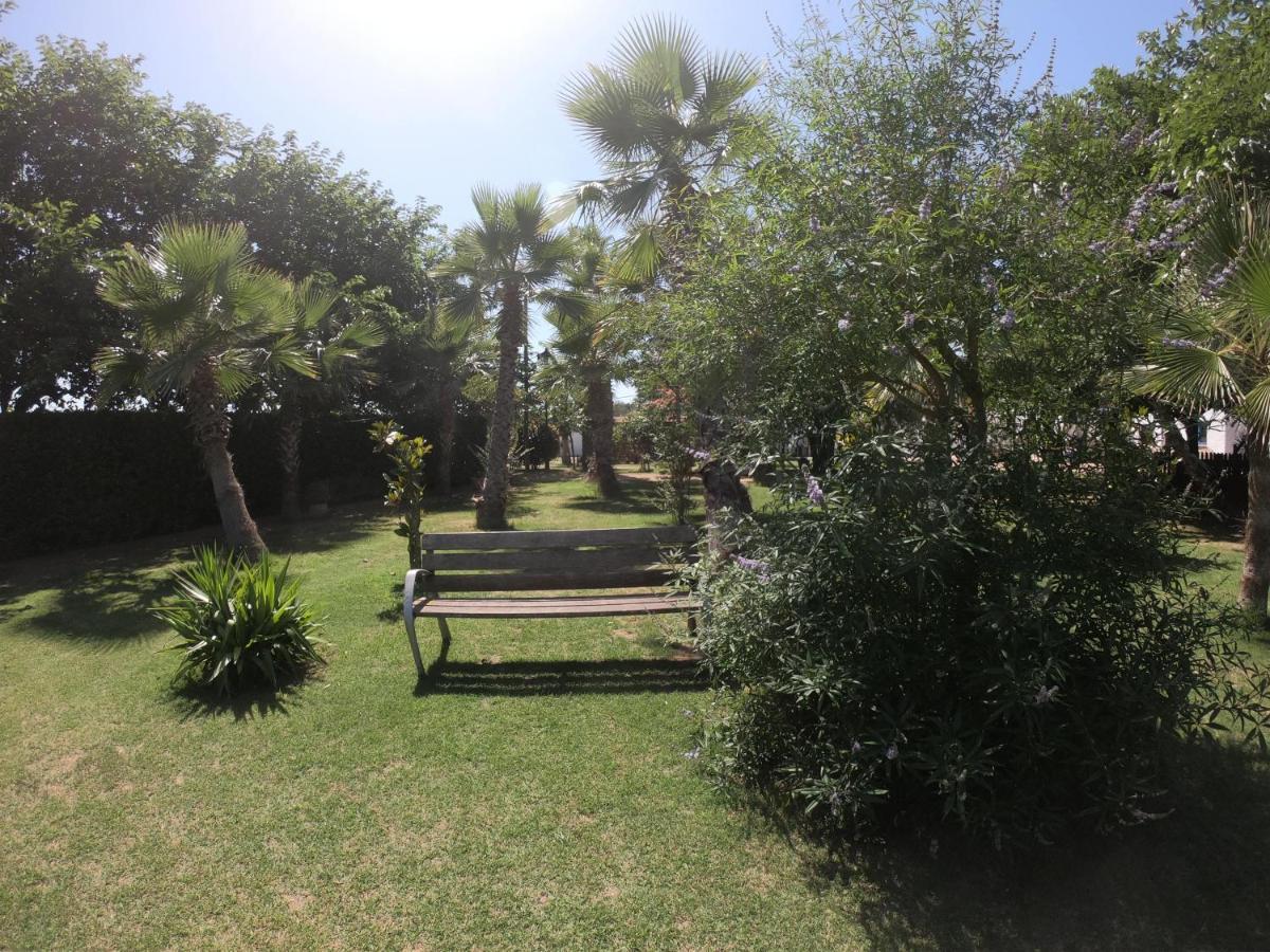 Naturetreehouse Casa Sobre Los árboles Casa rural Blanes
