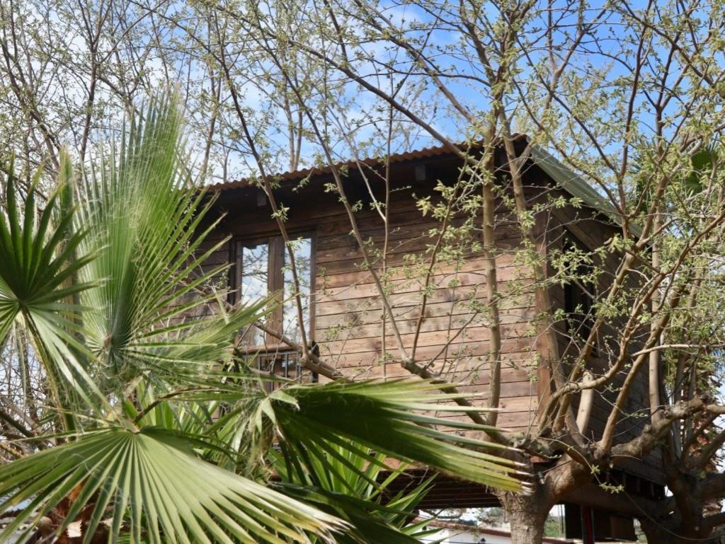 Naturetreehouse Casa Sobre Los árboles Blanes