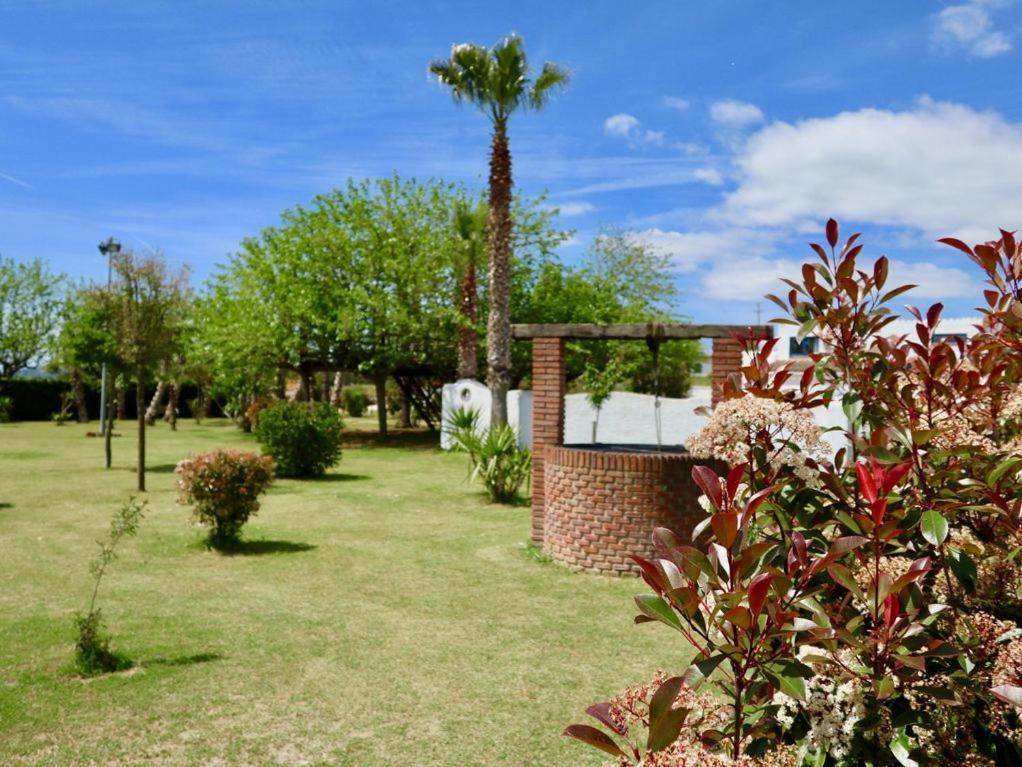 Naturetreehouse Casa Sobre Los árboles Blanes